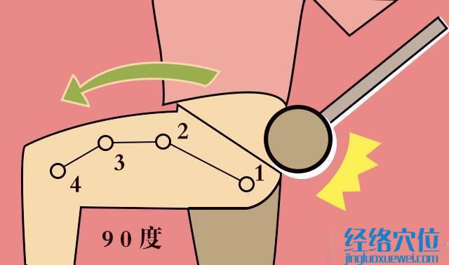 用空心拳頭，敲打膽經(jīng)，敲10分鐘