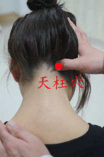 天柱穴位位置圖