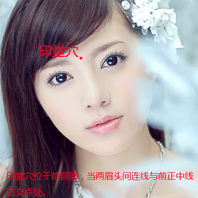 印堂穴位位置圖