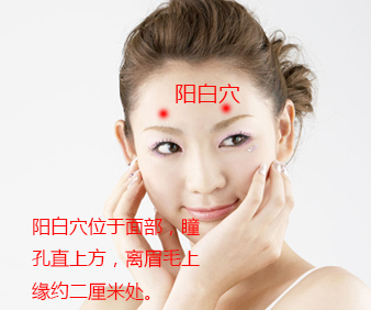 陽白穴的位置圖