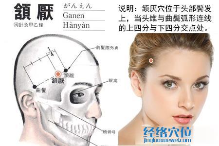 頷厭穴位圖