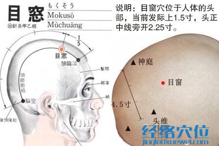 目窗穴位位置圖