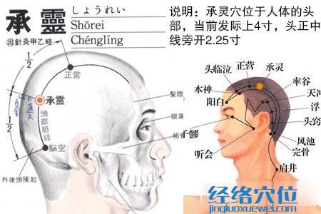 承靈穴的位置圖