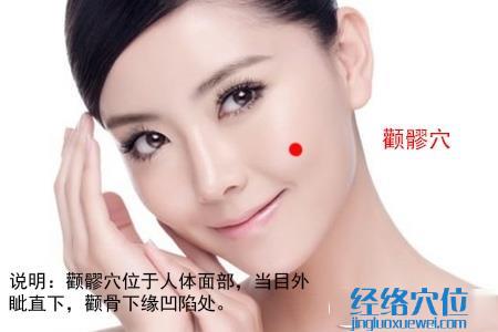 顴髎穴位位置圖
