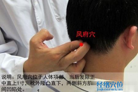 風(fēng)府穴位位置圖