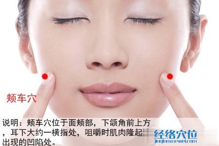 頰車穴位位置圖