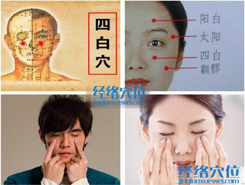 四白穴的準(zhǔn)確位置圖（高清圖組）