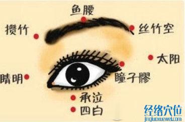 魚(yú)腰穴位位置圖