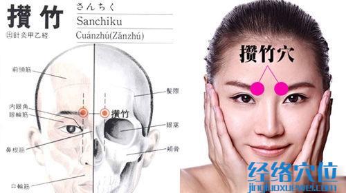 攢竹穴位位置圖