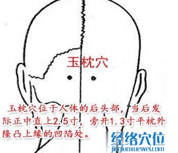玉枕穴位位置圖