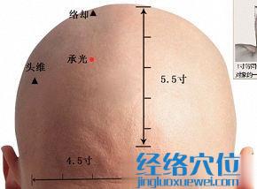 承光穴的準(zhǔn)確位置圖