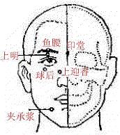 球后穴的位置圖