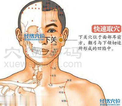 下關(guān)穴位位置圖