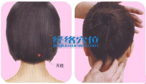 天柱穴位圖
