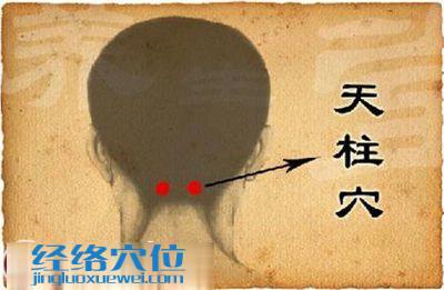 天柱穴位位置圖