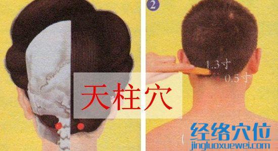天柱穴位位置圖