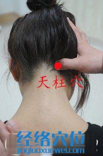 天柱穴位位置圖