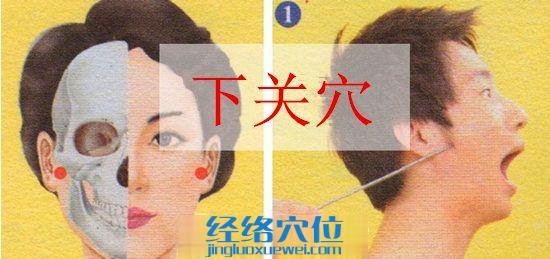下關(guān)穴的準(zhǔn)確位置圖