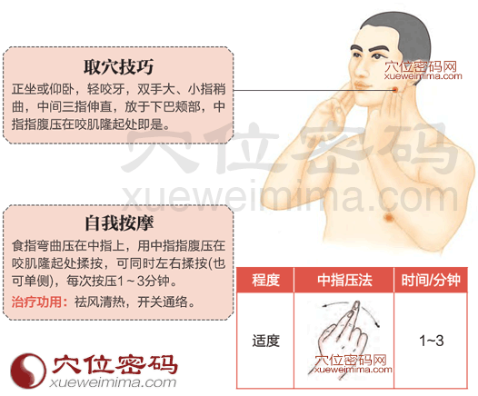 頰車(chē)穴的準(zhǔn)確位置