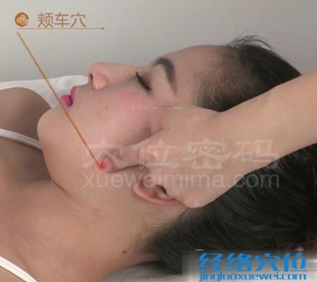 頰車(chē)穴的位置圖