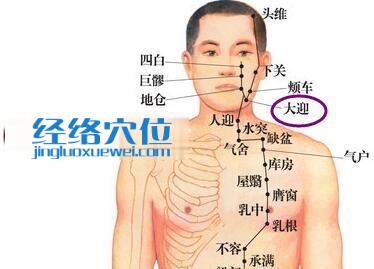圖解大迎穴的位置