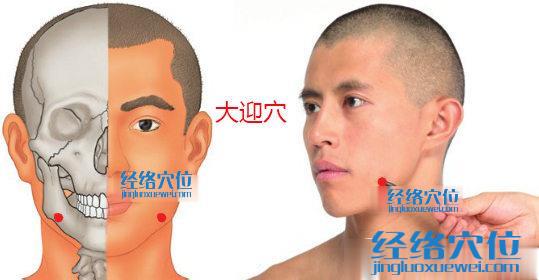 大迎穴位位置圖