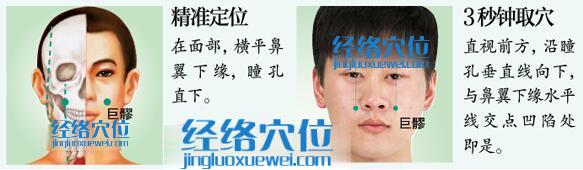 巨髎穴的準確位置圖及取穴方法示范