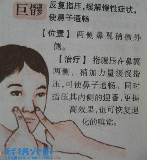 巨髎穴位位置圖