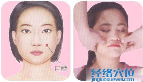 巨髎穴的位置圖