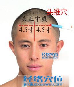 頭維穴位位置圖