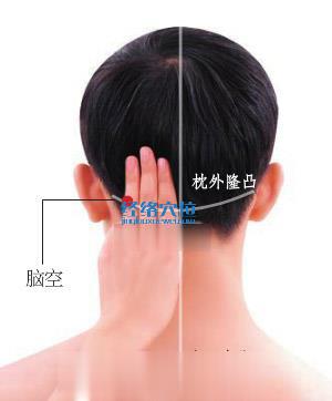 腦空穴位位置圖