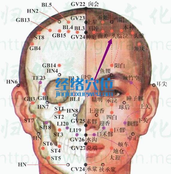 頭臨泣穴的準(zhǔn)確位置圖