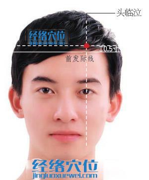 頭臨泣穴位位置圖