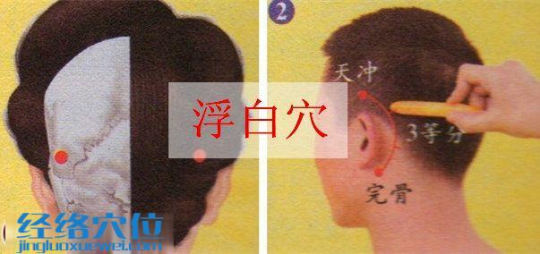 浮白穴的準(zhǔn)確位置圖