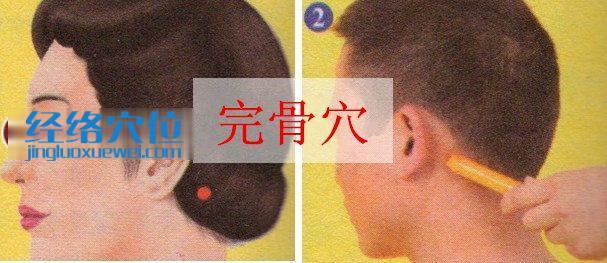 完骨穴位位置圖