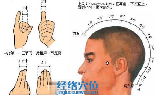 上關(guān)穴位圖