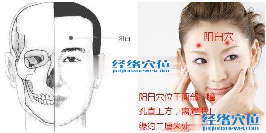 陽(yáng)白穴位圖