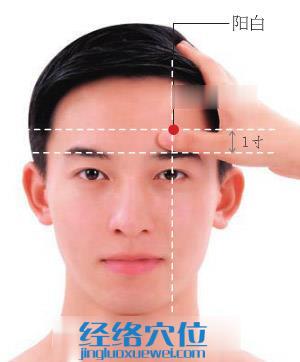 陽(yáng)白穴位位置圖