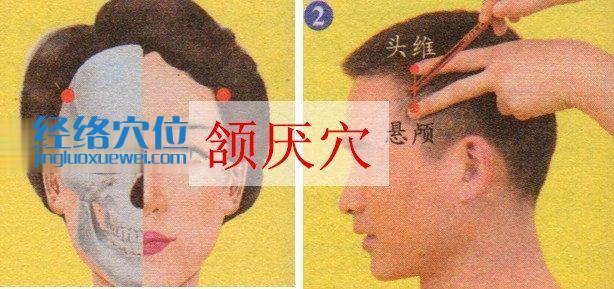 頷厭穴的位置圖