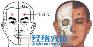 陽(yáng)白穴位圖