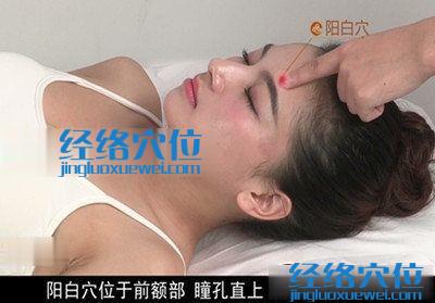 陽(yáng)白穴位位置圖