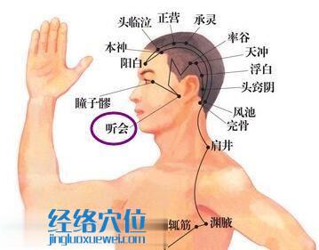 聽(tīng)會(huì)穴位位置圖