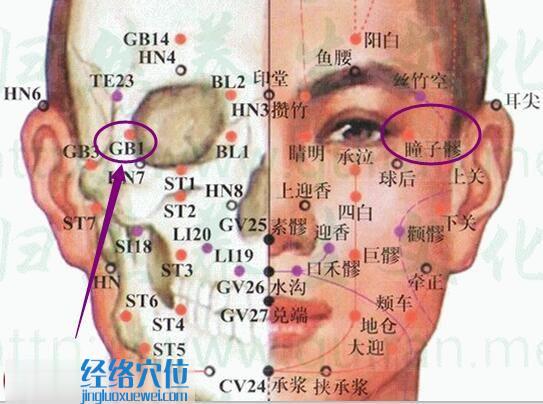 瞳子髎穴的準(zhǔn)確位置圖