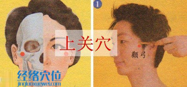 上關(guān)穴的位置圖