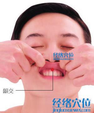 齦交穴位位置圖
