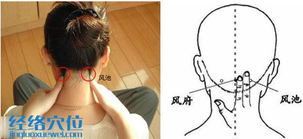 風(fēng)池穴位位置圖