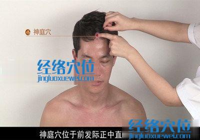 神庭穴的位置圖