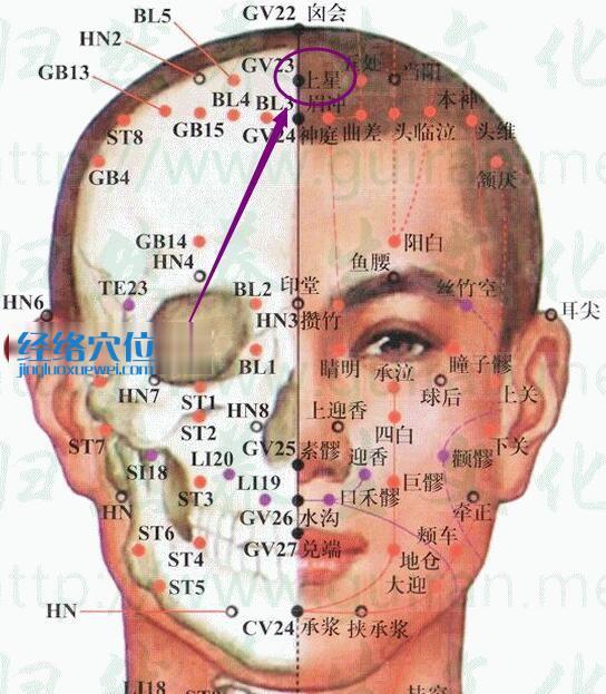 上星穴的準確位置圖