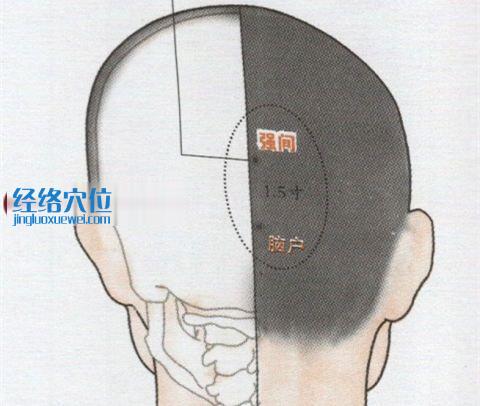 強間穴位位置圖