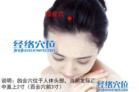 囟會穴位圖